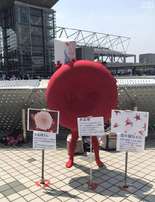 日本同人展C94上的真·红血球 ！